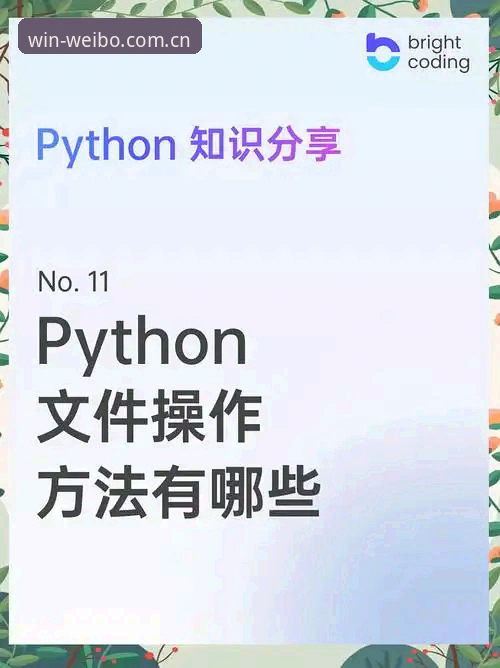 伟博体育平台操作全解：从入口登录到数据同步的完整指南
